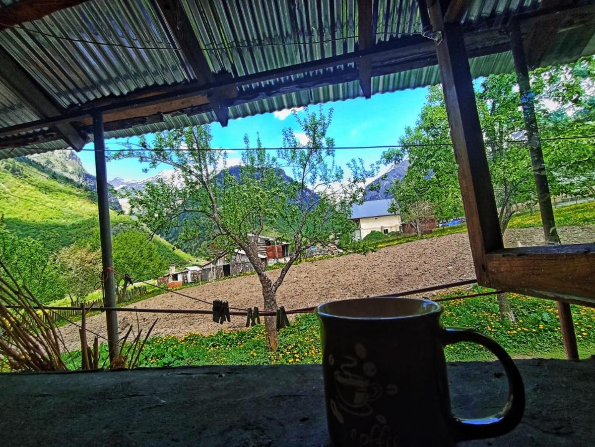 Guesthouse Mamuka Zhabesh Zhabeshi Dış mekan fotoğraf