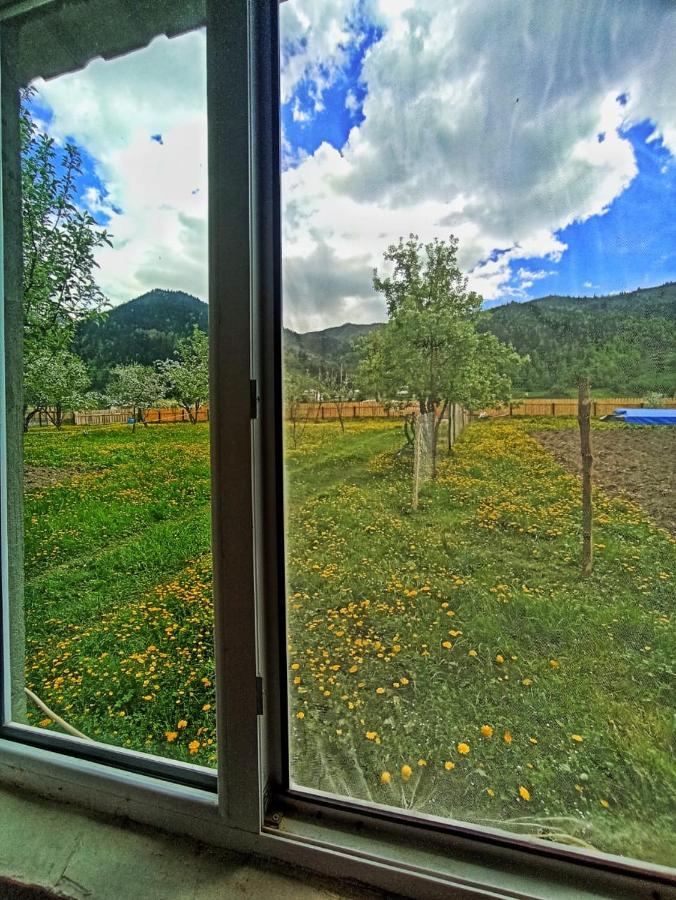 Guesthouse Mamuka Zhabesh Zhabeshi Dış mekan fotoğraf