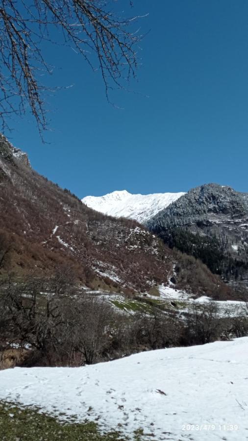 Guesthouse Mamuka Zhabesh Zhabeshi Dış mekan fotoğraf