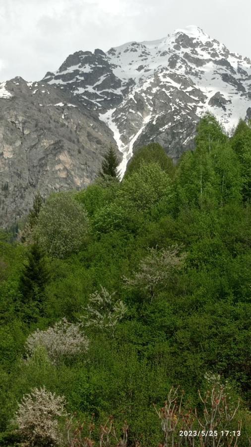 Guesthouse Mamuka Zhabesh Zhabeshi Dış mekan fotoğraf