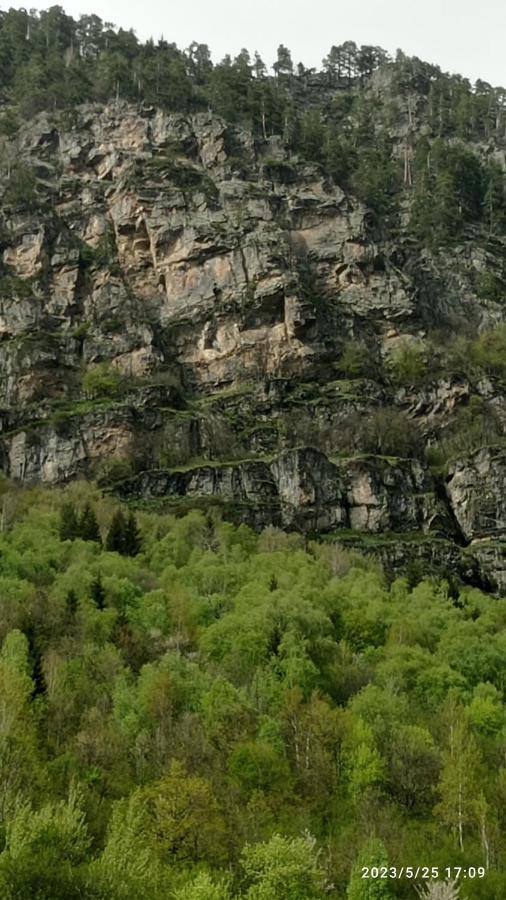 Guesthouse Mamuka Zhabesh Zhabeshi Dış mekan fotoğraf