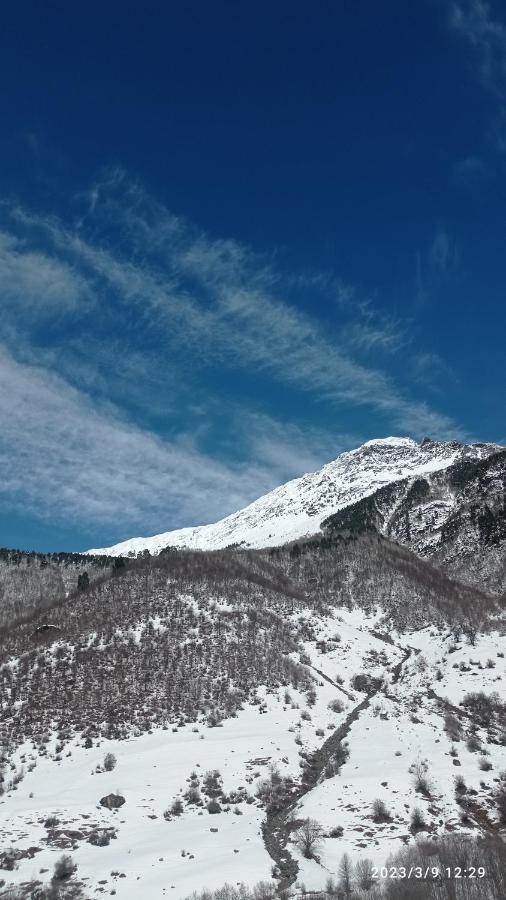 Guesthouse Mamuka Zhabesh Zhabeshi Dış mekan fotoğraf