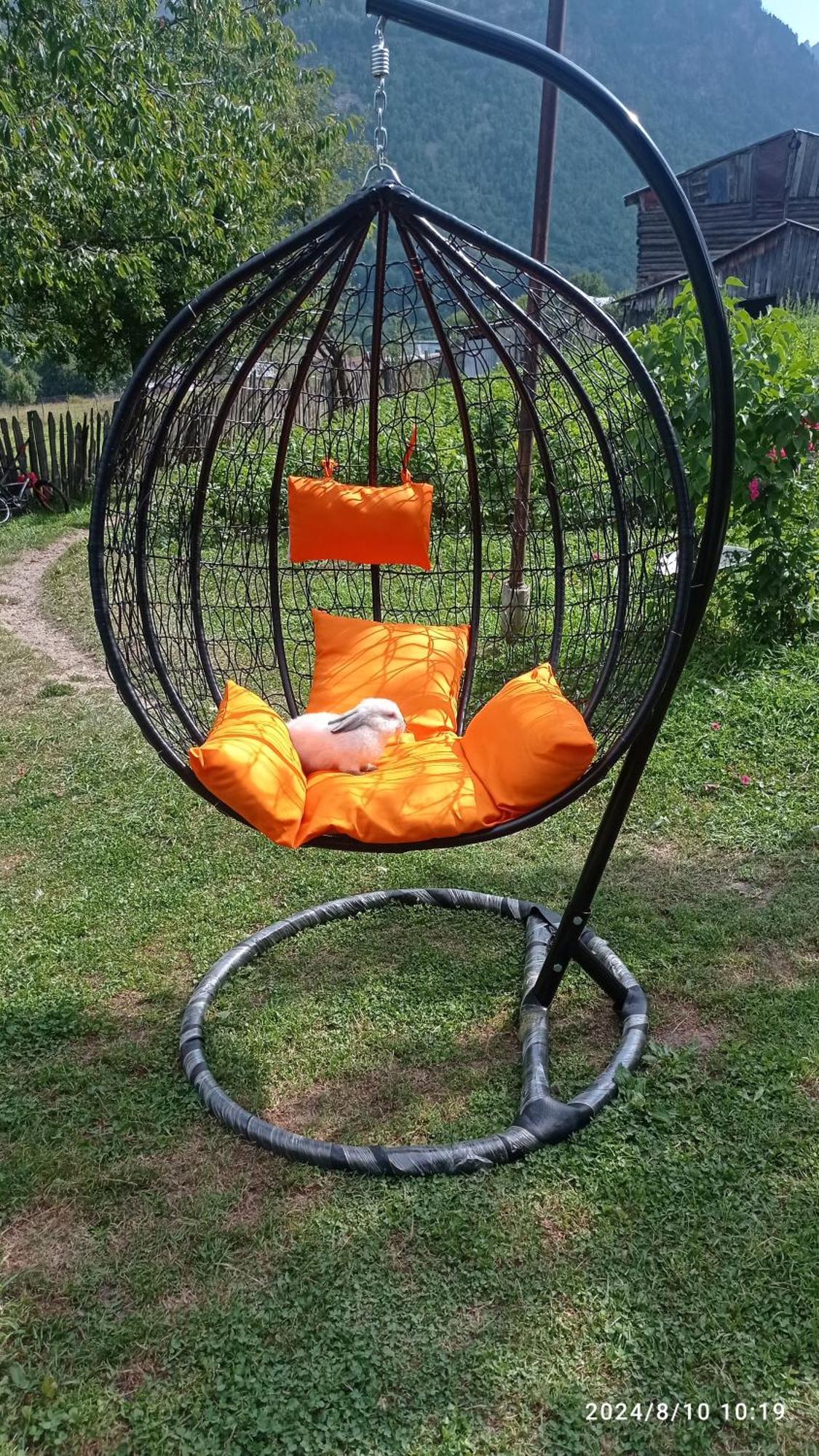 Guesthouse Mamuka Zhabesh Zhabeshi Dış mekan fotoğraf
