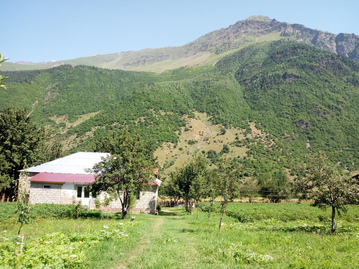 Guesthouse Mamuka Zhabesh Zhabeshi Dış mekan fotoğraf