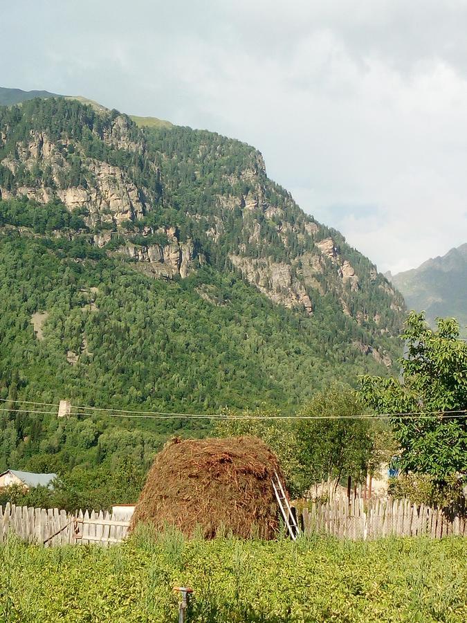 Guesthouse Mamuka Zhabesh Zhabeshi Dış mekan fotoğraf