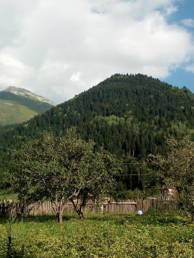Guesthouse Mamuka Zhabesh Zhabeshi Dış mekan fotoğraf
