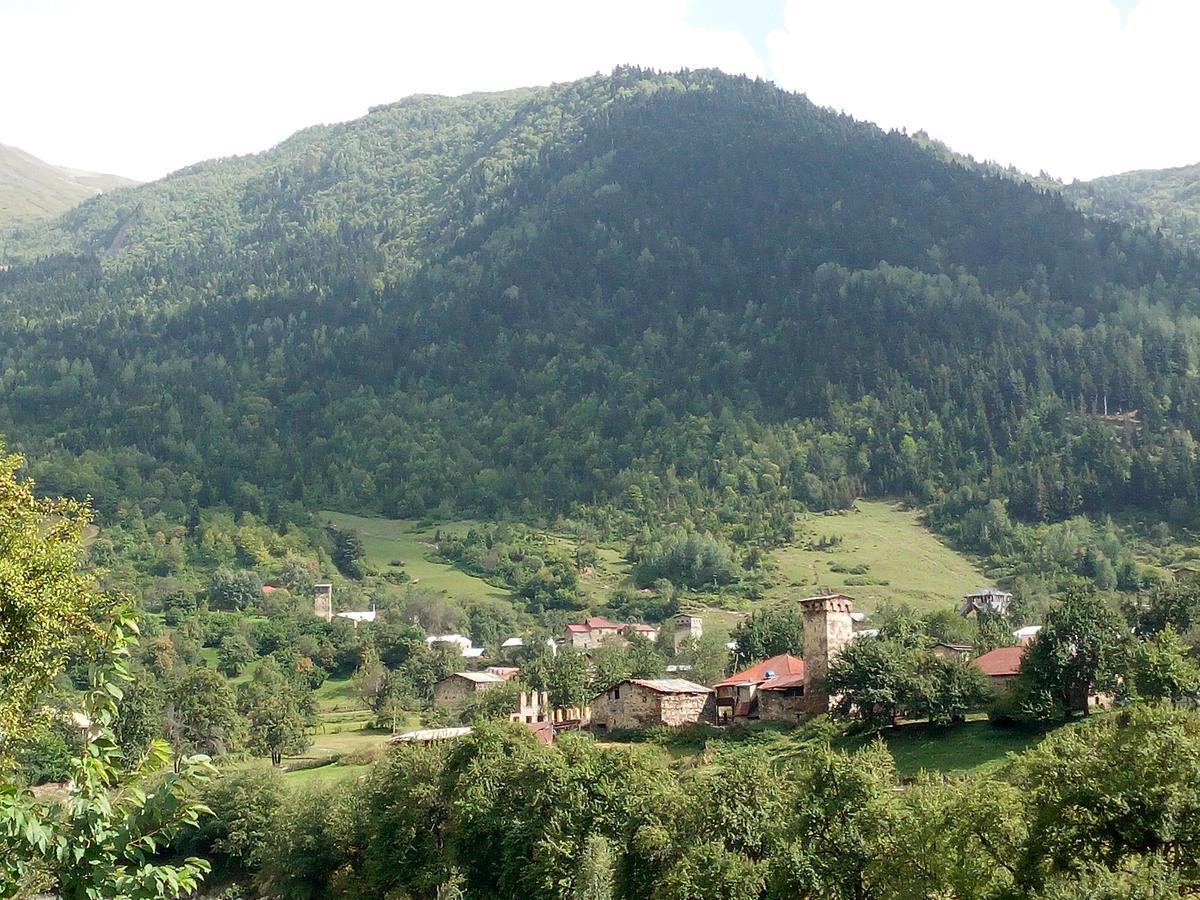 Guesthouse Mamuka Zhabesh Zhabeshi Dış mekan fotoğraf