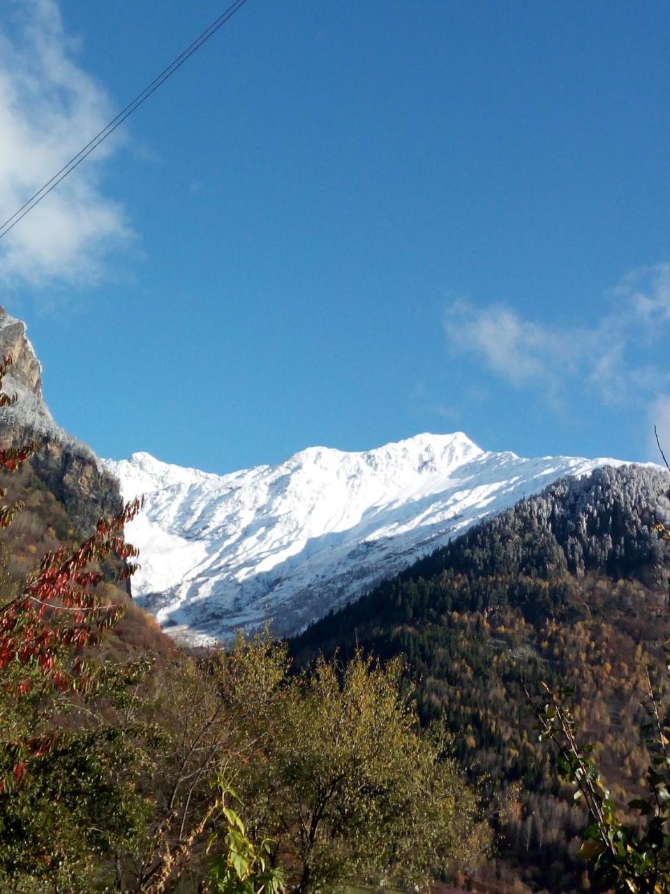 Guesthouse Mamuka Zhabesh Zhabeshi Dış mekan fotoğraf
