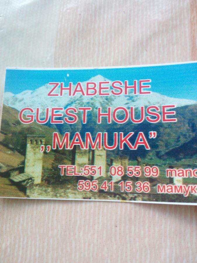 Guesthouse Mamuka Zhabesh Zhabeshi Dış mekan fotoğraf