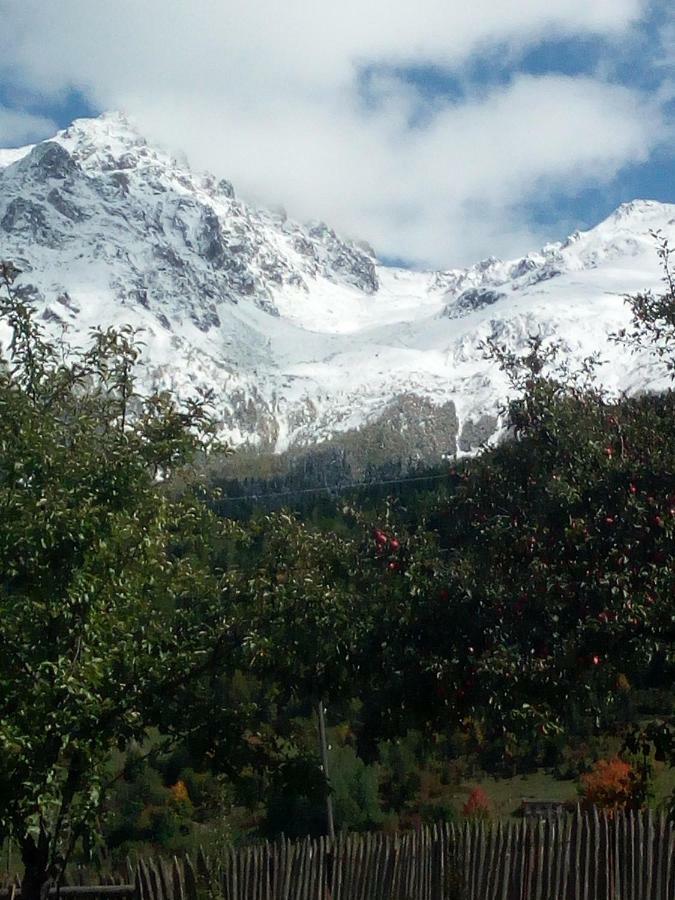 Guesthouse Mamuka Zhabesh Zhabeshi Dış mekan fotoğraf