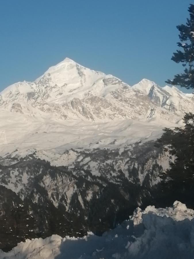 Guesthouse Mamuka Zhabesh Zhabeshi Dış mekan fotoğraf