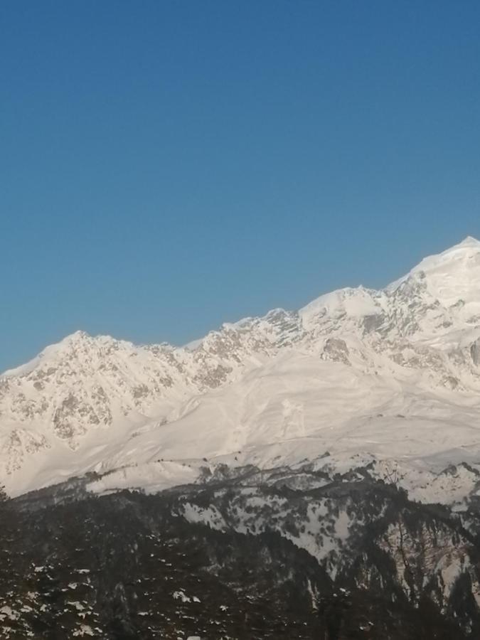 Guesthouse Mamuka Zhabesh Zhabeshi Dış mekan fotoğraf
